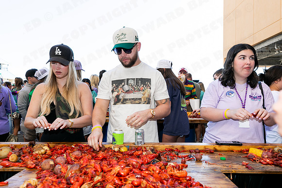 GCCA_Boil-48109