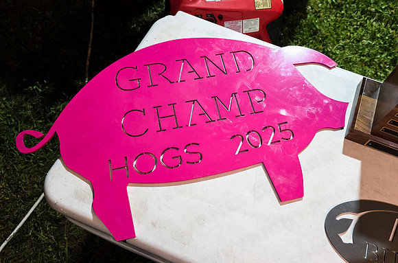 HogsforCause2025--4