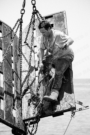 GulfShrimpBW-8059