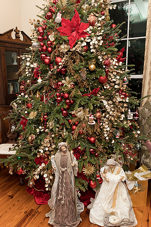 GCCA_Christmas2022-46481