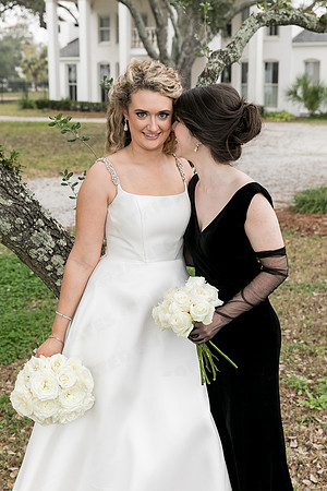 Warr_Galle_wed-43696