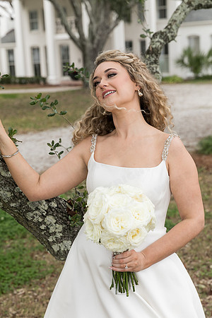 Warr_Galle_wed-43593