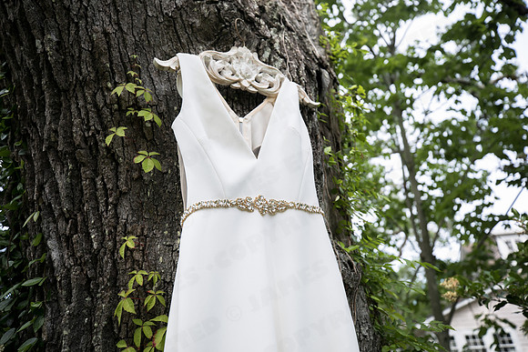 Chamblin_wed-47186