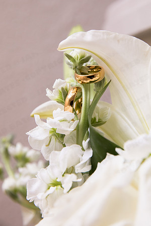Trotter_wed-41725