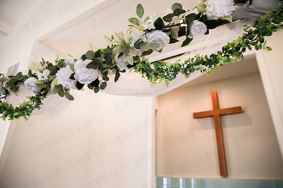 Trotter_wed-41893