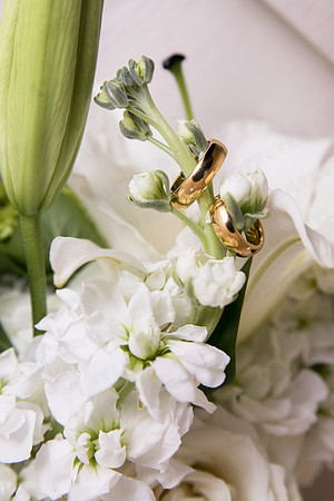 Trotter_wed-41673