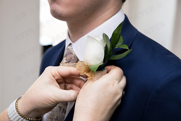 Trotter_wed-41749