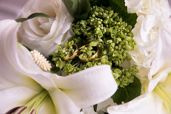 Trotter_wed-41628