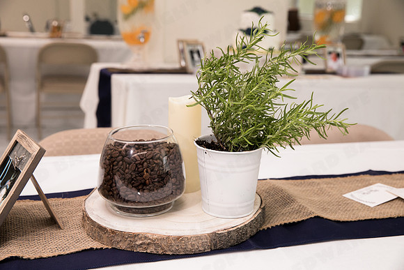 Trotter_wed-41798