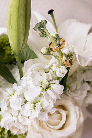 Trotter_wed-41689