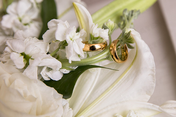 Trotter_wed-41697