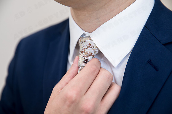 Trotter_wed-41124