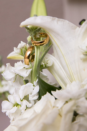 Trotter_wed-41706