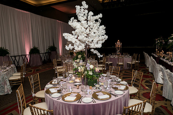 Queen_Luncheon_2023-44514