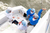 GCCA_KingDibervilleLanding-32815