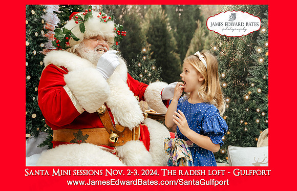 Santa_Minis_HalfPageAd_2024_RadishLoft2024