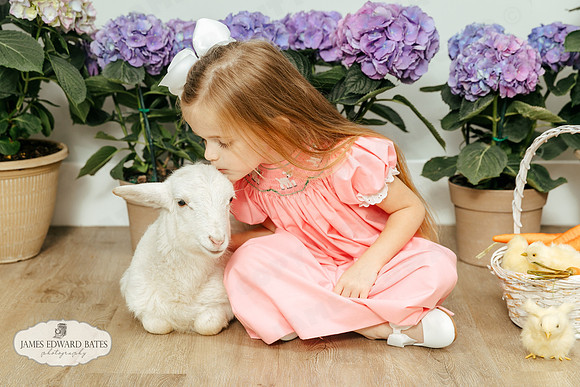 Daphne_Flowers_JEB38324.CR2