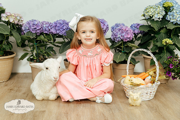 Daphne_Flowers_JEB38314.CR2