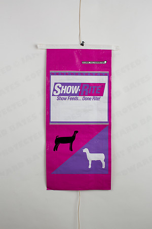 Bags-27776