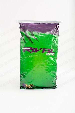 Bags-27873