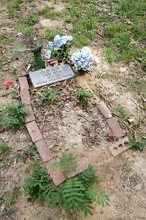 Alabama Coon Dog Cemetery