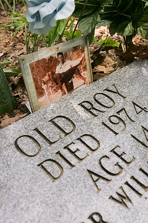 Alabama Coon Dog Cemetery