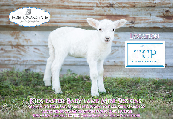 CottonPatch_EasterMinis_promo2022a_10in