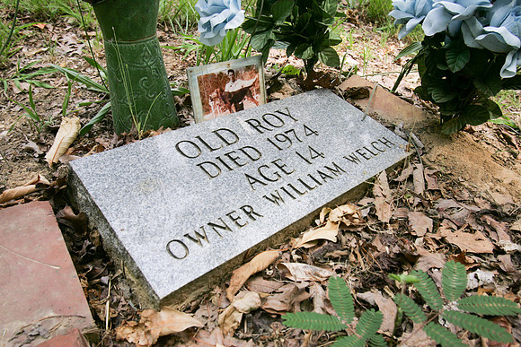 Alabama Coon Dog Cemetery