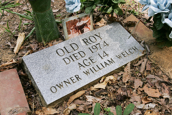 Alabama Coon Dog Cemetery