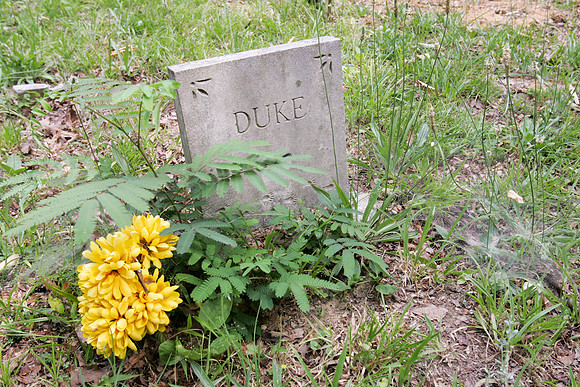 Alabama Coon Dog Cemetery