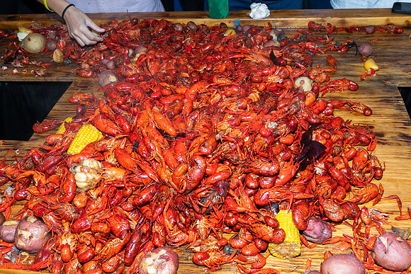GCCA_Boil-48013