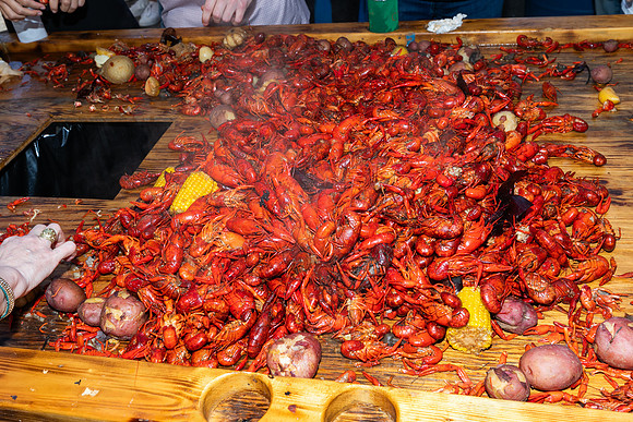GCCA_Boil-48016