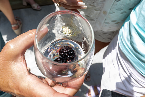 Fore_wed-48377