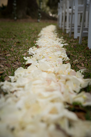Beavers - Highbaugh wedding