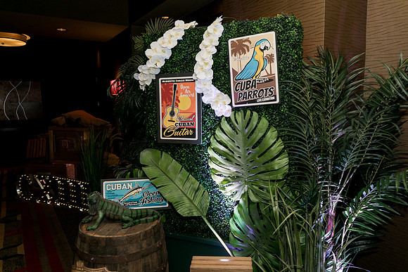 GCCA_King_Party-36340